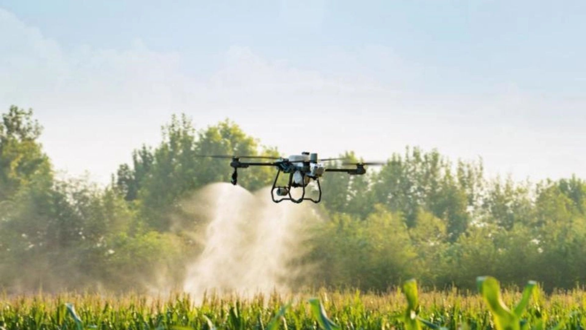 Drone Agrícola